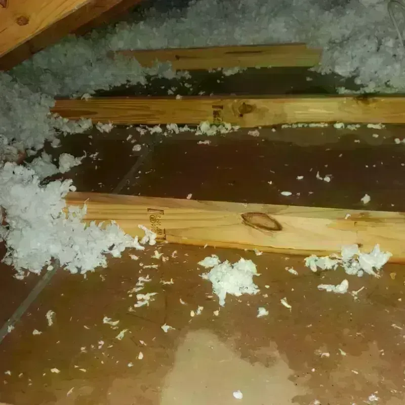 Attic Water Damage in Greece, NY