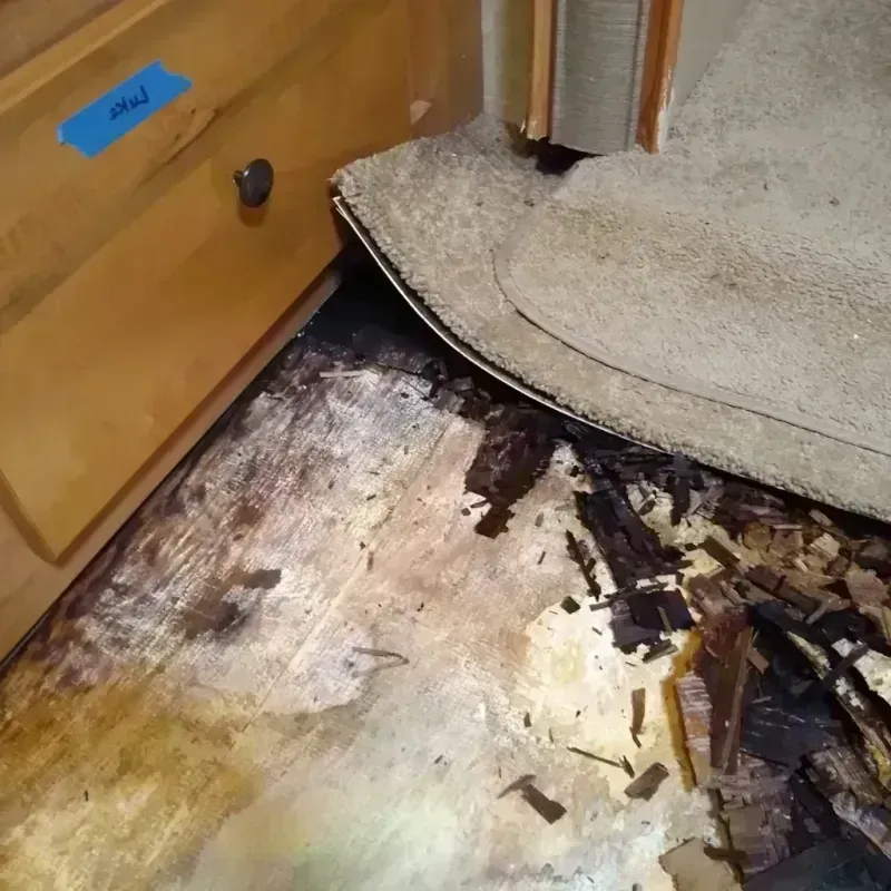 Wood Floor Water Damage in Greece, NY